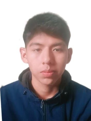 Andy Gabriel Ibarra Condori